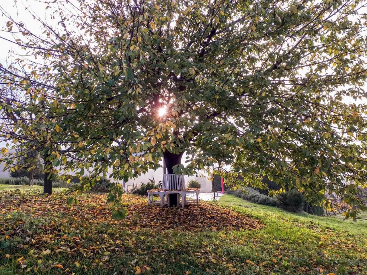 Casa Lucesole Konuk evi Fontanile Dış mekan fotoğraf